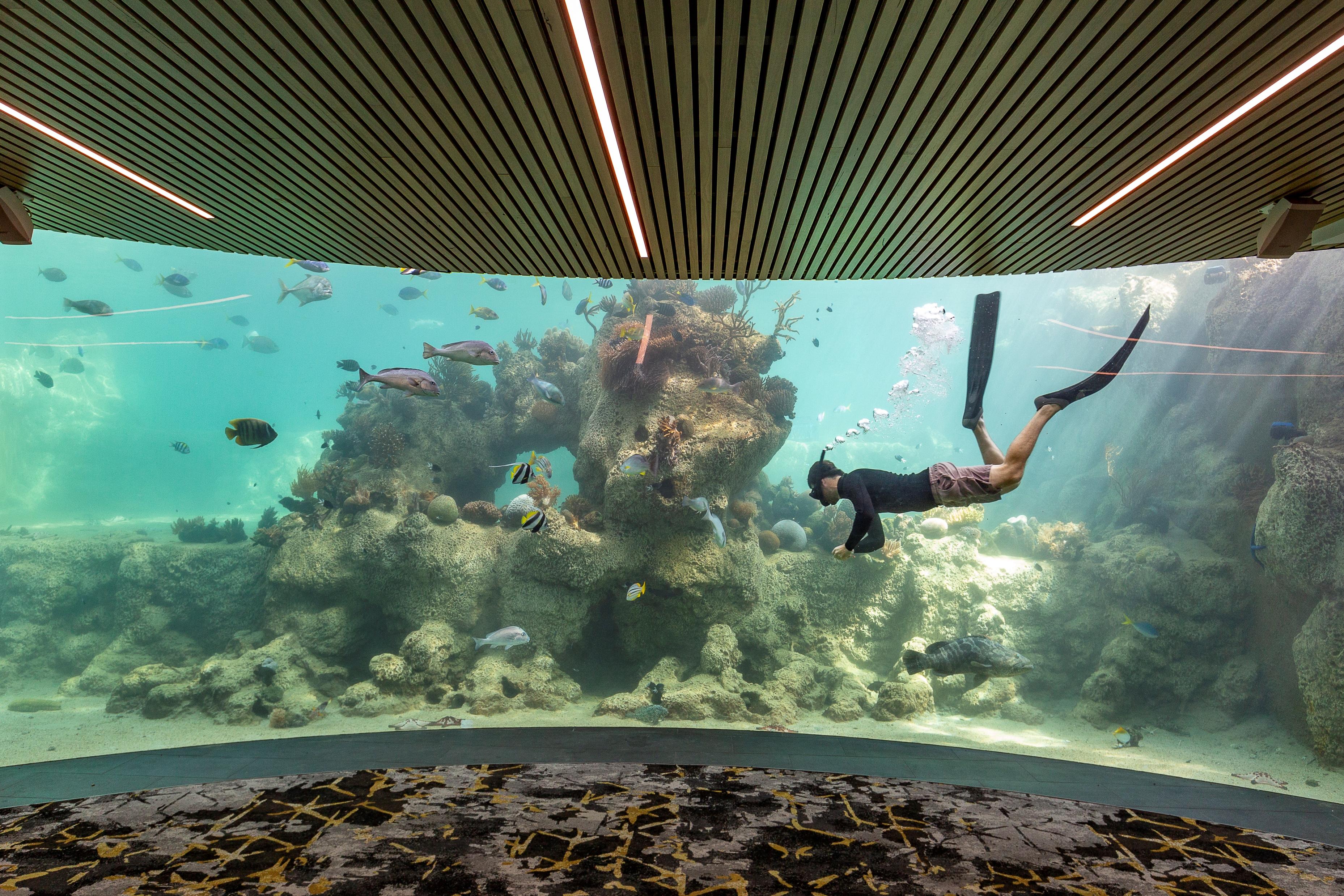 Daydream Island Resort Zewnętrze zdjęcie